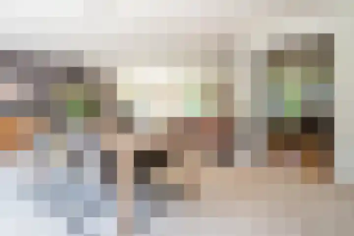 Steenkamp 5 Haren Gn thumbnail 24