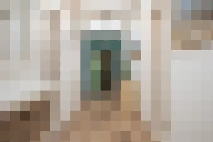 Steenkamp 5 Haren Gn thumbnail 33
