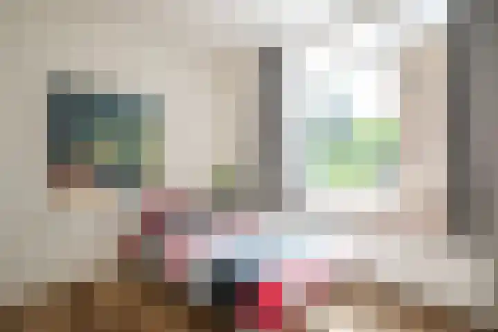 Steenkamp 5 Haren Gn thumbnail 35