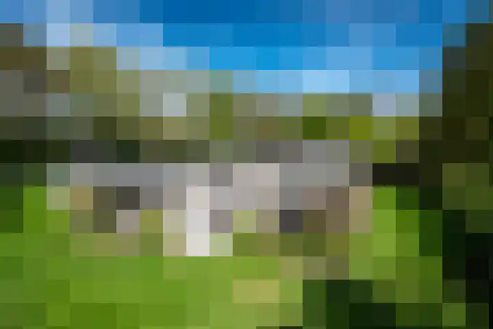 Steenkamp 5 Haren Gn thumbnail 41