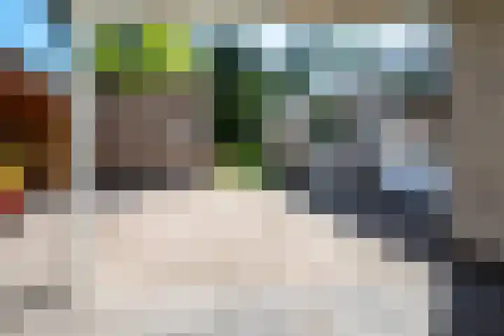 Steenkamp 5 Haren Gn thumbnail 46