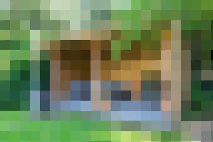 Steenkamp 5 Haren Gn thumbnail 48