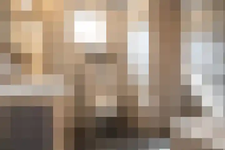 Steenkamp 5 Haren Gn thumbnail 5
