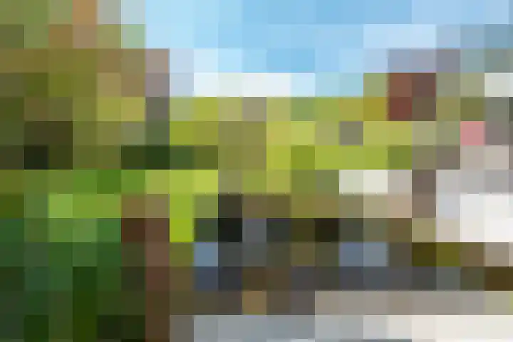 Steenkamp 5 Haren Gn thumbnail 51