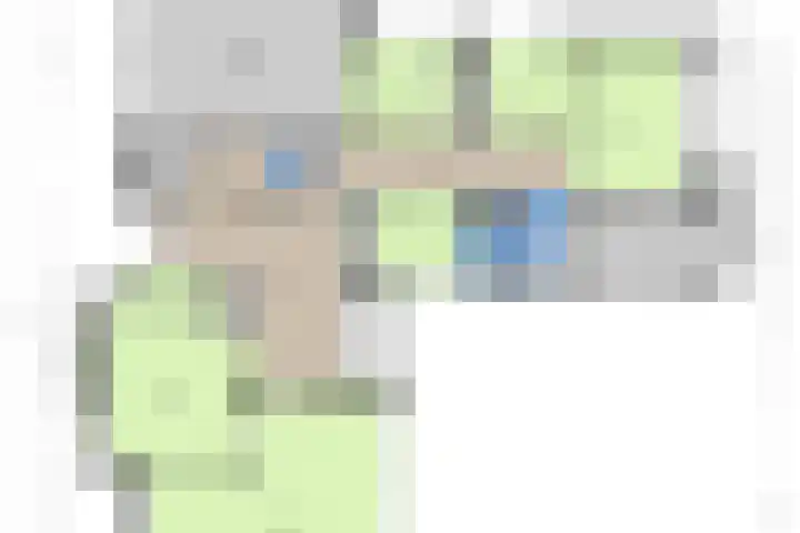 Steenkamp 5 Haren Gn thumbnail 54