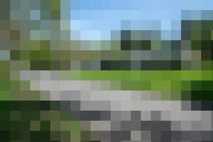 Steenkamp 5 Haren Gn thumbnail 8