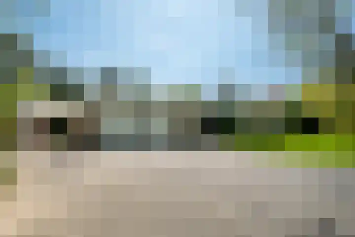 Steenkamp 5 Haren Gn thumbnail 9