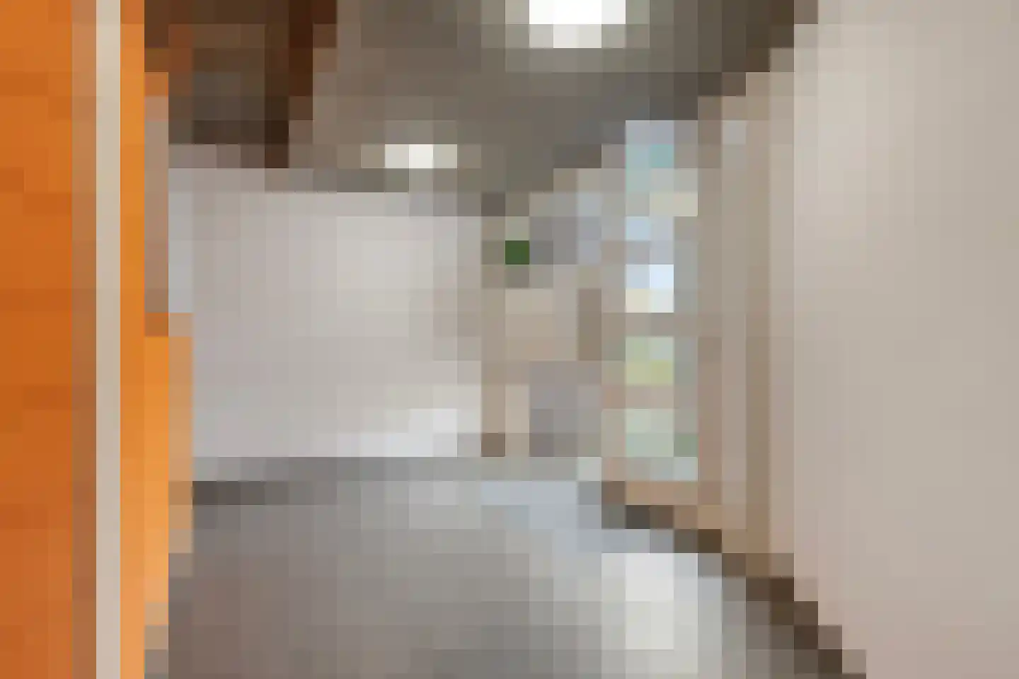Steenkamplaan 22 Terneuzen thumbnail 16