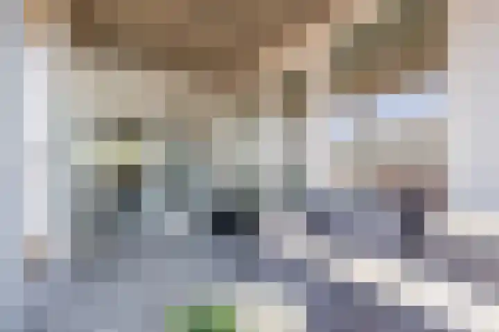 Steenkamplaan 26 Terneuzen thumbnail 27