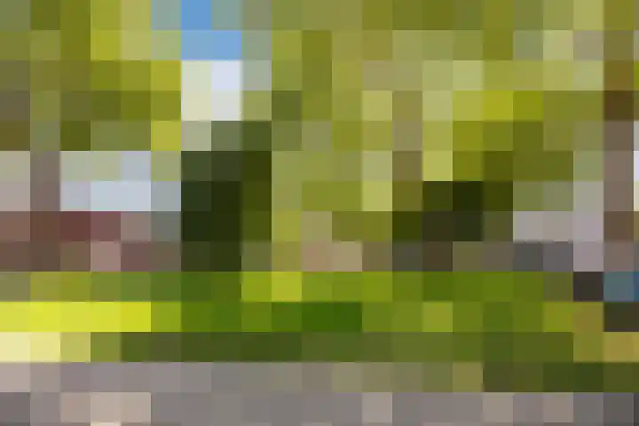 Steenkamplaan 26 Terneuzen thumbnail 30