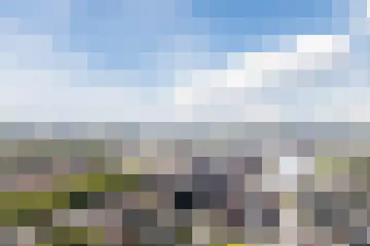 Steenkamplaan 26 Terneuzen thumbnail 35