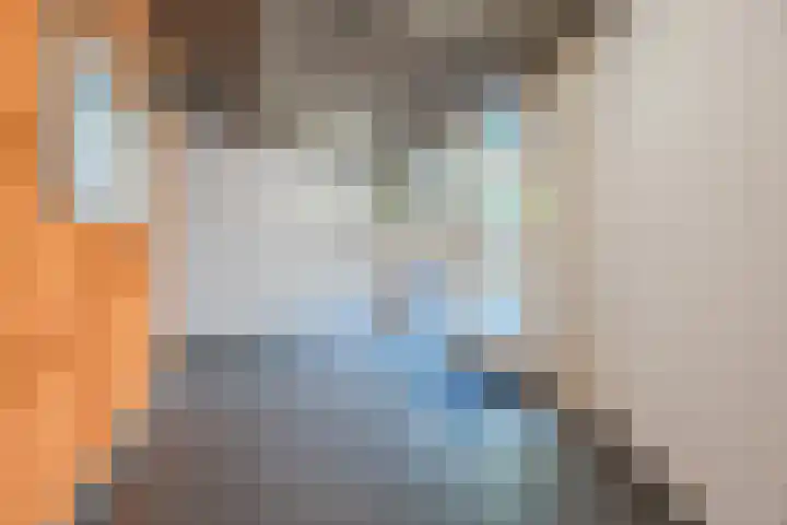Steenkamplaan 26 Terneuzen thumbnail 5