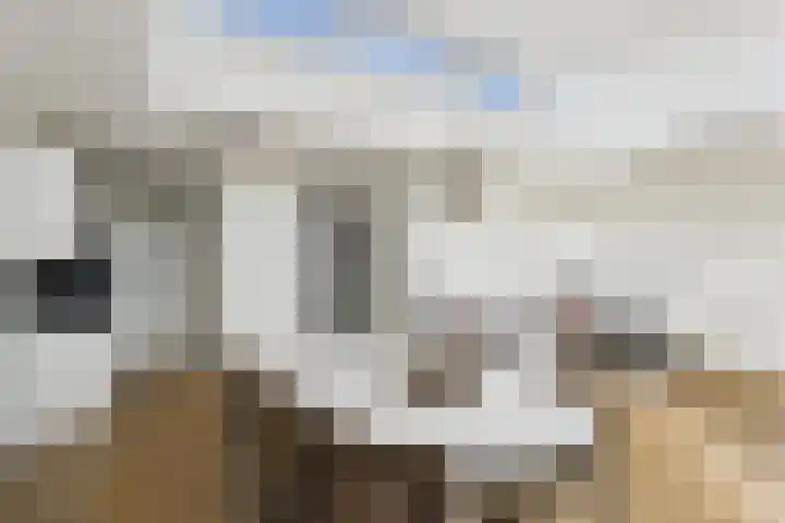 Steenkamplaan 28 Terneuzen thumbnail 16