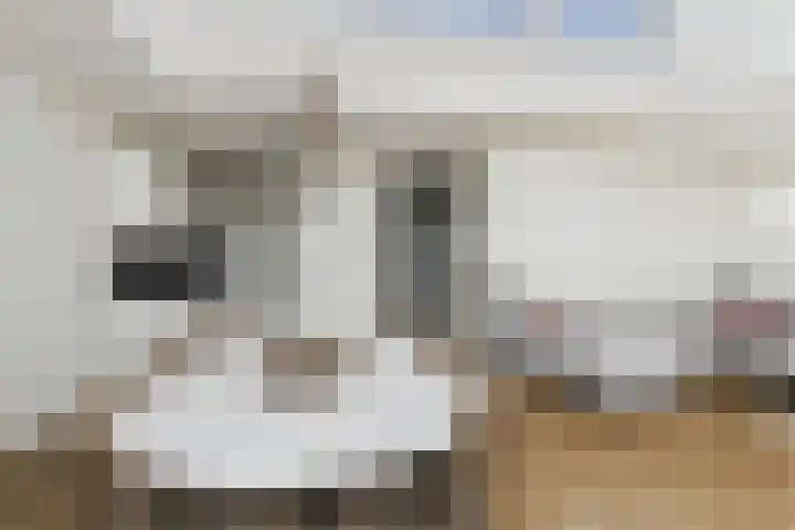 Steenkamplaan 28 Terneuzen thumbnail 21