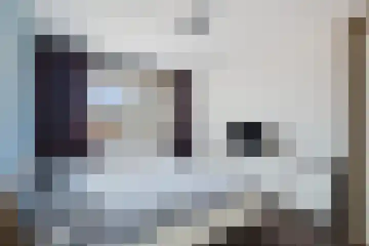 Steenkamplaan 28 Terneuzen thumbnail 29