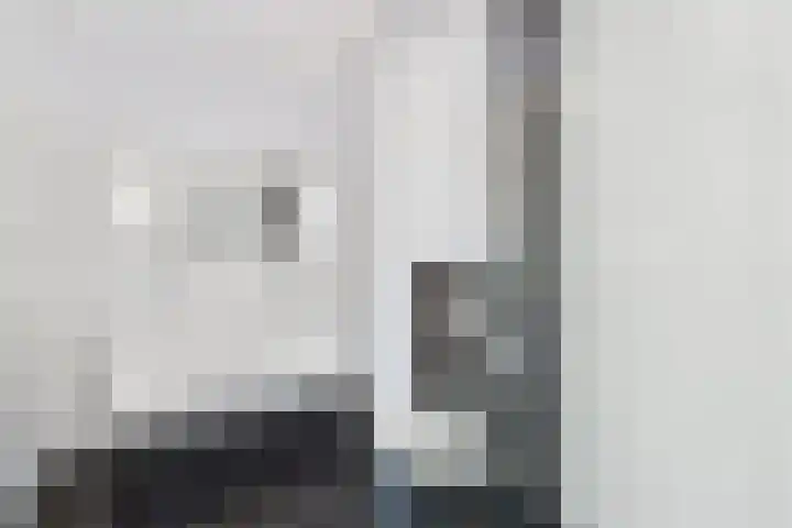 Steenkamplaan 28 Terneuzen thumbnail 31