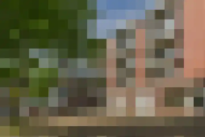 Steenkamplaan 28 Terneuzen thumbnail 38
