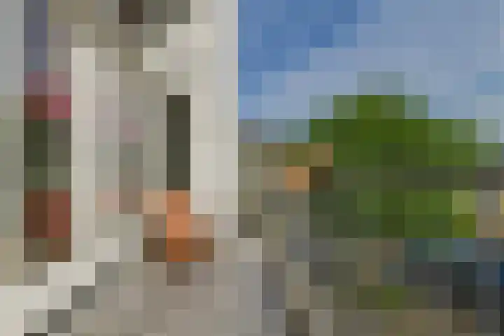 Steenkamplaan 28 Terneuzen thumbnail 6