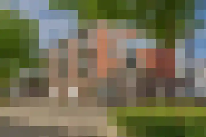 Steenkamplaan 28 Terneuzen thumbnail 8