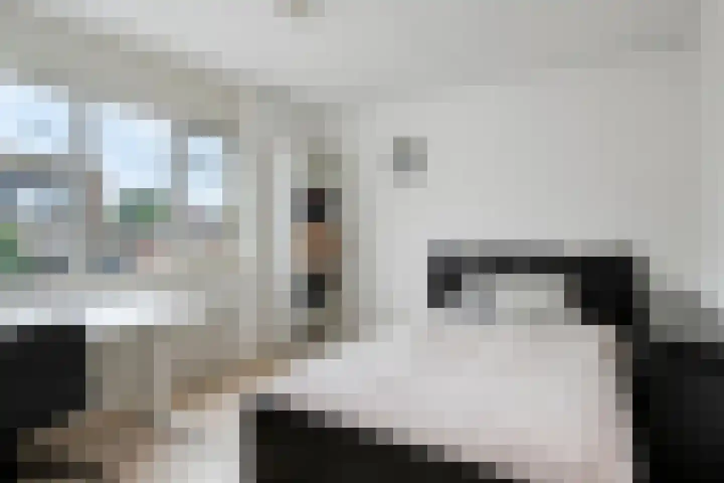 Steenkamplaan 31 Terneuzen thumbnail 13