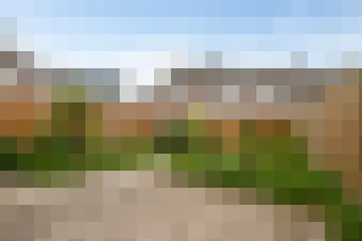 Steenkamplaan 43 Terneuzen thumbnail 25