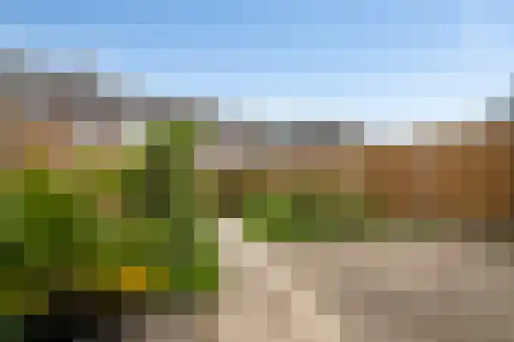 Steenkamplaan 43 Terneuzen thumbnail 4
