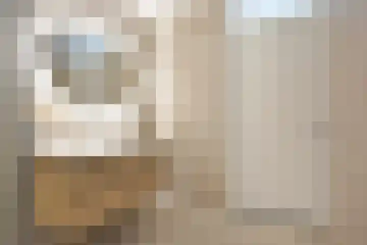 Steenkamplaan 8 Terneuzen thumbnail 17