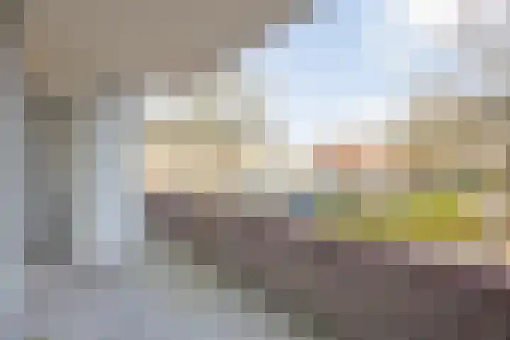 Steenkamplaan 8 Terneuzen thumbnail 22