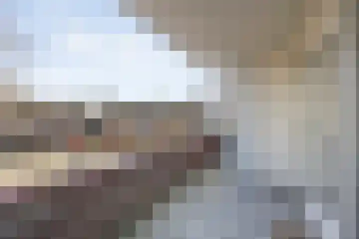 Steenkamplaan 8 Terneuzen thumbnail 24