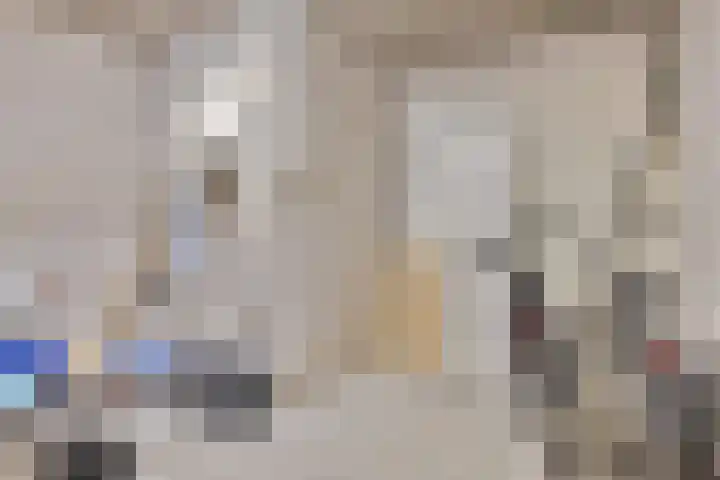 Steenkamplaan 8 Terneuzen thumbnail 25