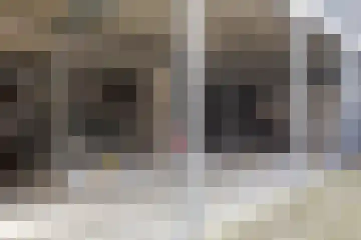 Steenkamplaan 8 Terneuzen thumbnail 27