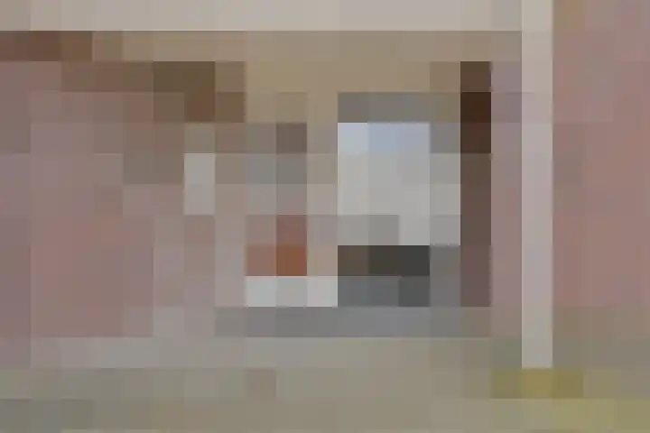 Steenkamplaan 8 Terneuzen thumbnail 4