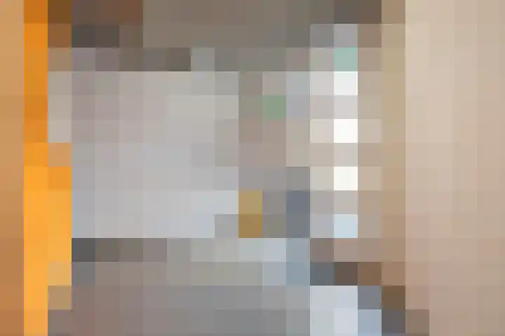 Steenkamplaan 8 Terneuzen thumbnail 5
