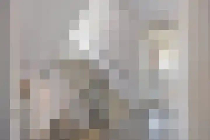 Steenkamplaan 8 Terneuzen thumbnail 6