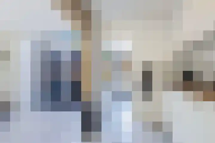 Steenkerk 3 Drachten thumbnail 13