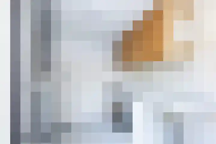 Steenkerk 3 Drachten thumbnail 15