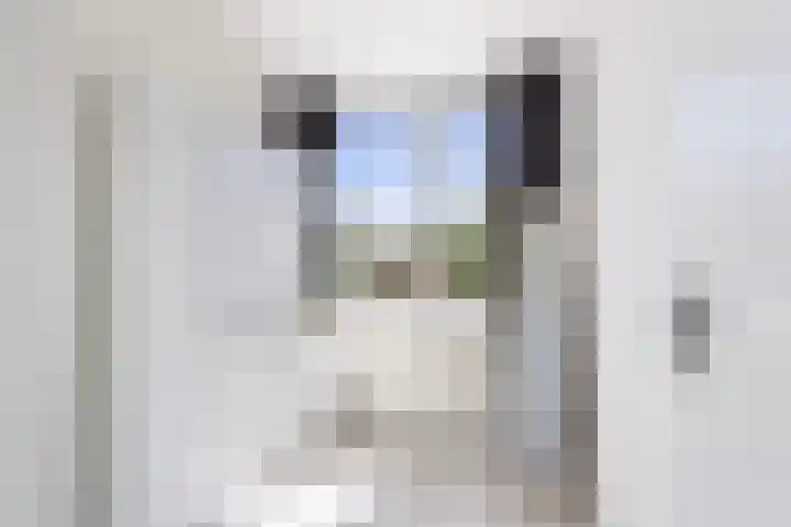 Steenkerk 3 Drachten thumbnail 22