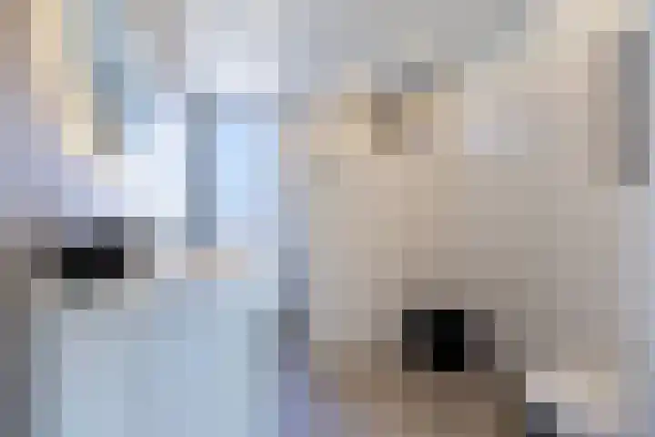 Steenkerk 3 Drachten thumbnail 23