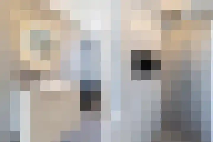 Steenkerk 3 Drachten thumbnail 24