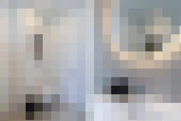 Steenkerk 3 Drachten thumbnail 25