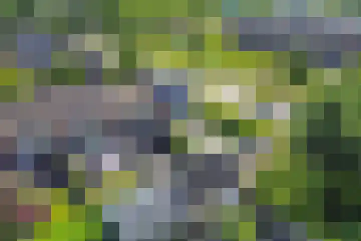Steenkerk 3 Drachten thumbnail 29