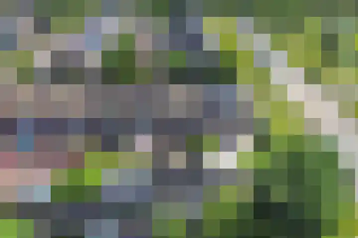 Steenkerk 3 Drachten thumbnail 36