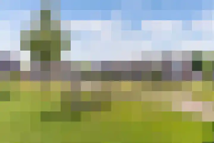 Steenkerk 3 Drachten thumbnail 37