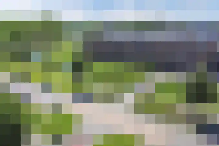 Steenkerk 3 Drachten thumbnail 39