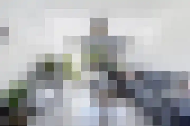 Steenkerk 3 Drachten thumbnail 7