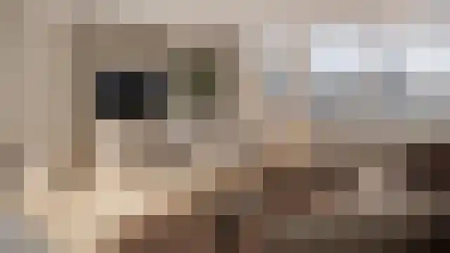 Steenklip 62 Sneek thumbnail 42