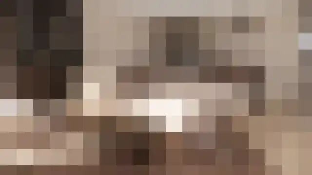 Steenklip 62 Sneek thumbnail 43