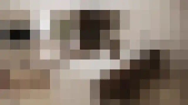 Steenklip 62 Sneek thumbnail 46