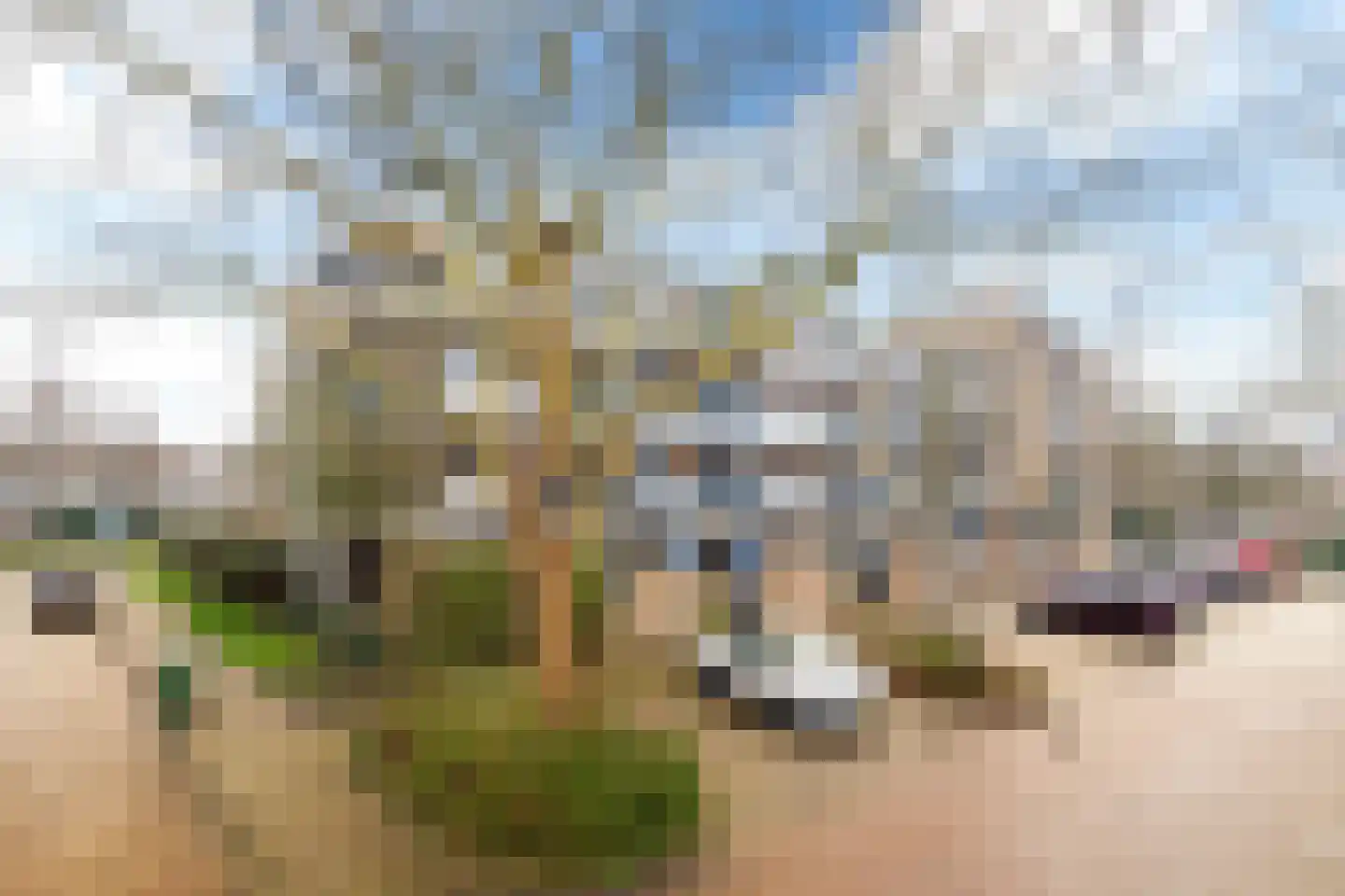 Steenklip 62 Sneek thumbnail 7
