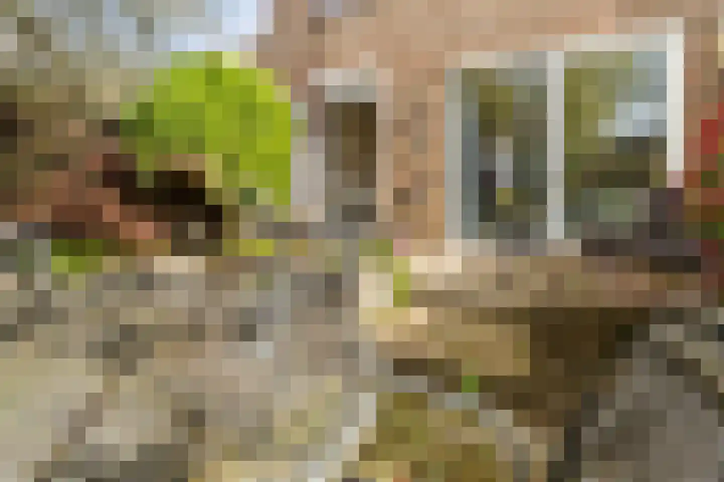 Steenkoolstraat 25 Hoensbroek thumbnail 31